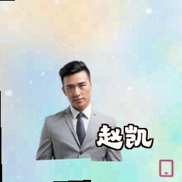 赵凯